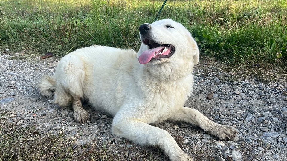 [Translate to Deutsch:] 