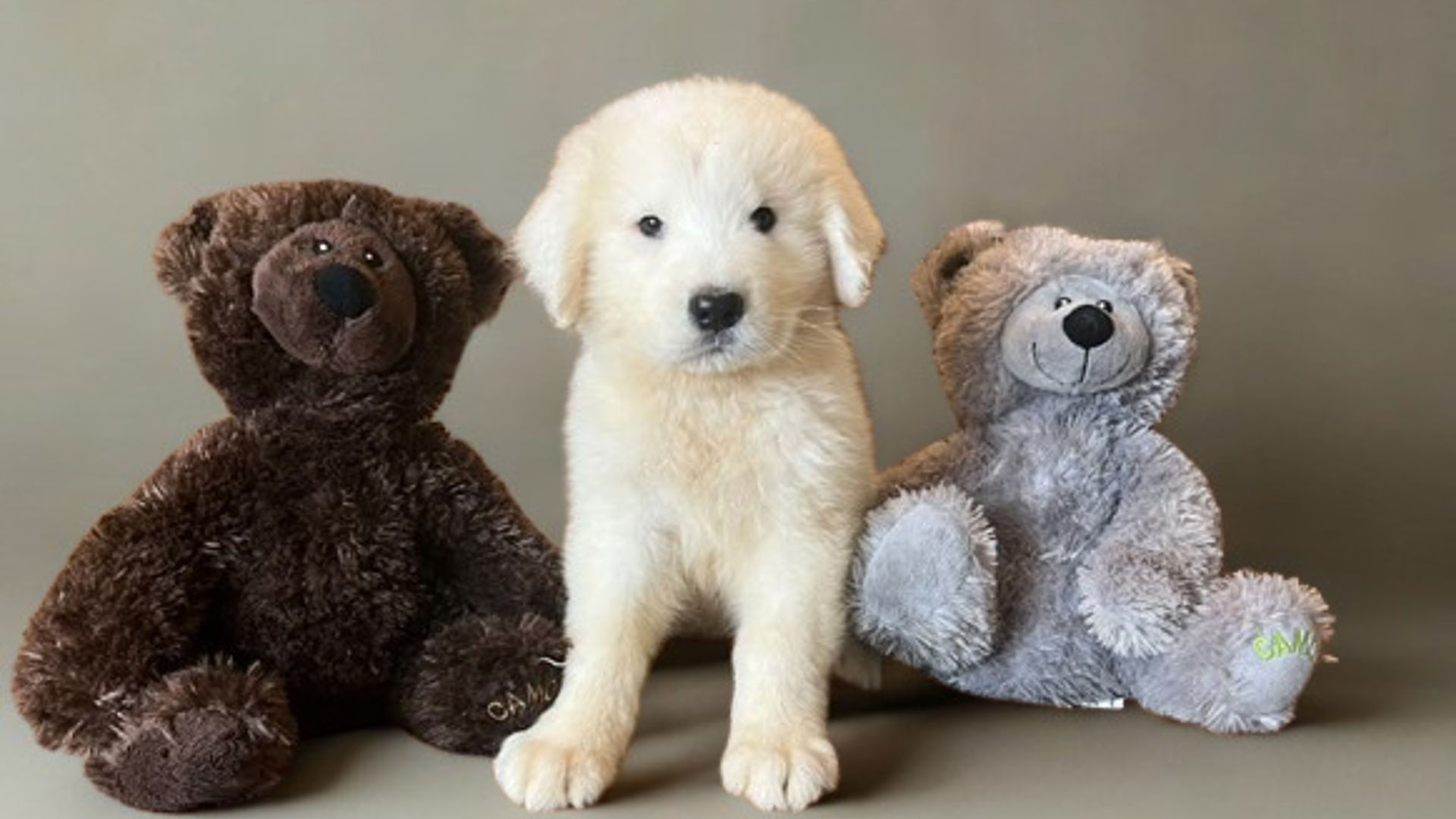 [Translate to Deutsch:] 