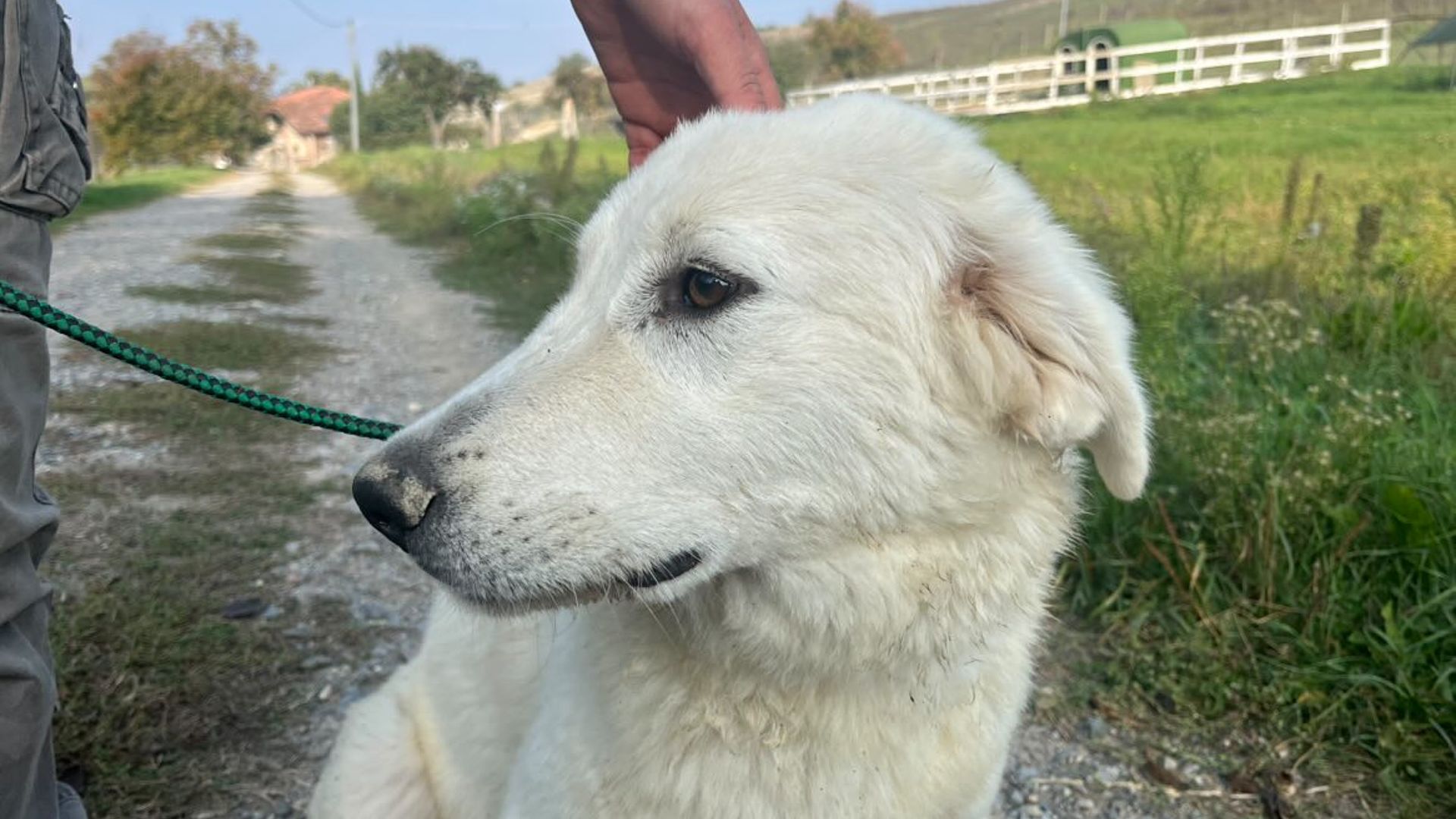 [Translate to Deutsch:] 